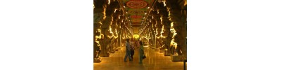 மதுரை - தமிழ்நாடு